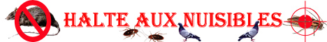 STOP-NUISIBLE est spécialisée dans la désinsectisation, la dératisation, désinfection , l'hygiène urbaine antiparasitaire, l'héradication des insects, cafards, blattes, fourmis, puces, punaises, mites, la supression des rongeurs, rats, souris, les déinfections du aux champignons, la dépigeonnisation, en générale toutes nuissances parasitaires, Paris et Ile de France